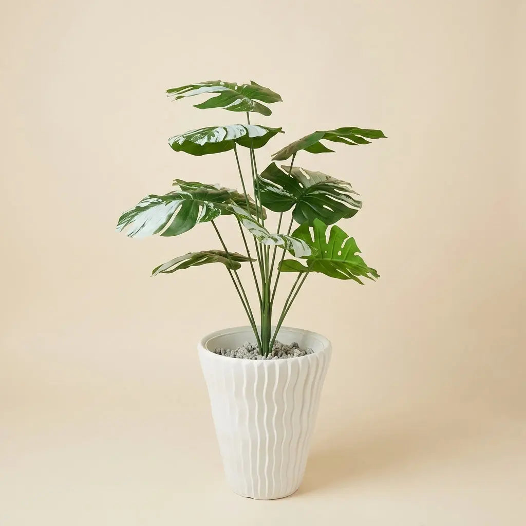 Monstera Variegata Artificielle et Son Pot en Céramique Blanche Ondulée darlworod