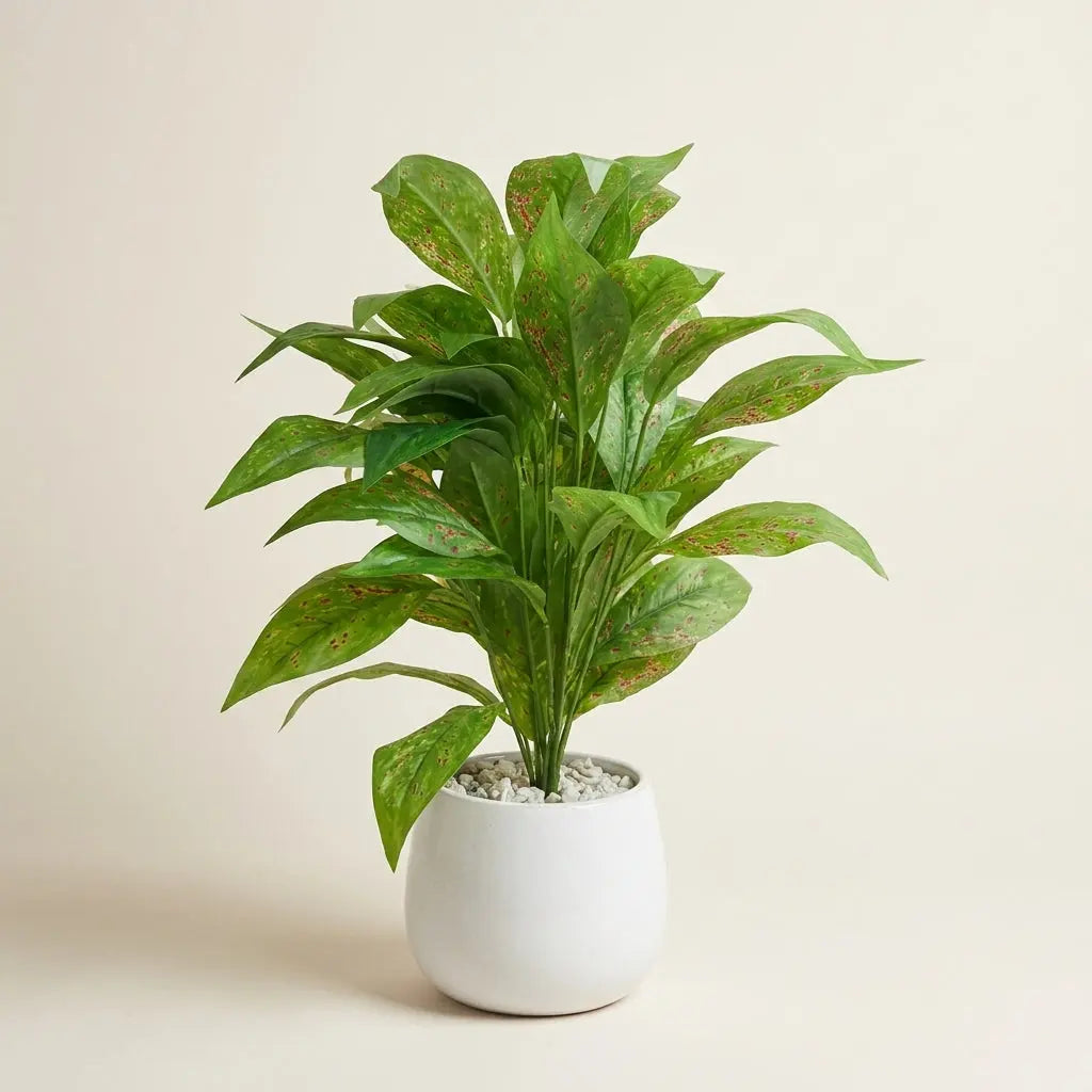 Plante Artificielle Aglaonema / Dieffenbachia en Pot Céramique Blanc – Feuillage Panaché
