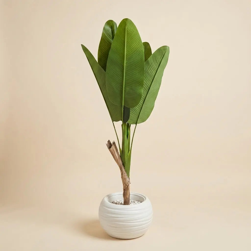 Bananier Artificiel Premium – Pot en Céramique Blanche Ondulée darlworod