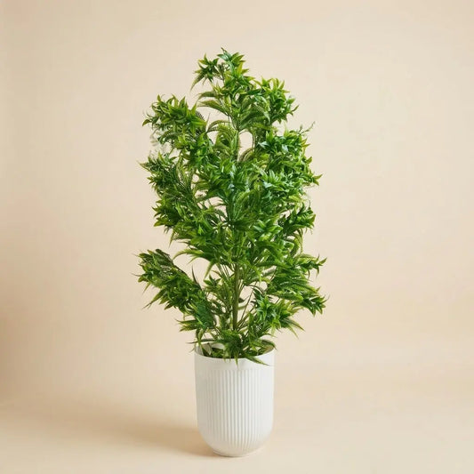 Fougère Artificielle Touffue Premium – Pot Cylindrique Blanc Ciselé darlworod