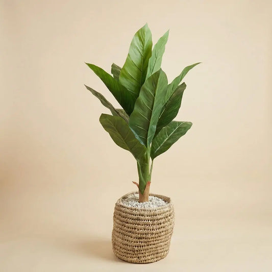 Bananier Artificiel D'Intérieur en Cache-Pot Tressé – Déco Tropicale & Boho darlworod