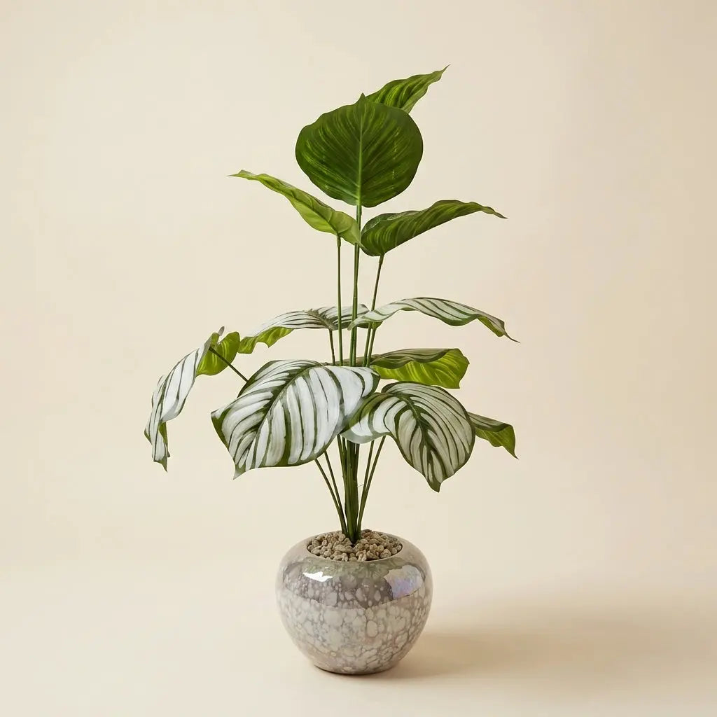 Plante Artificielle Calathea Orbifolia Premium – Pot Mouchraté Effet Nacre darlworod