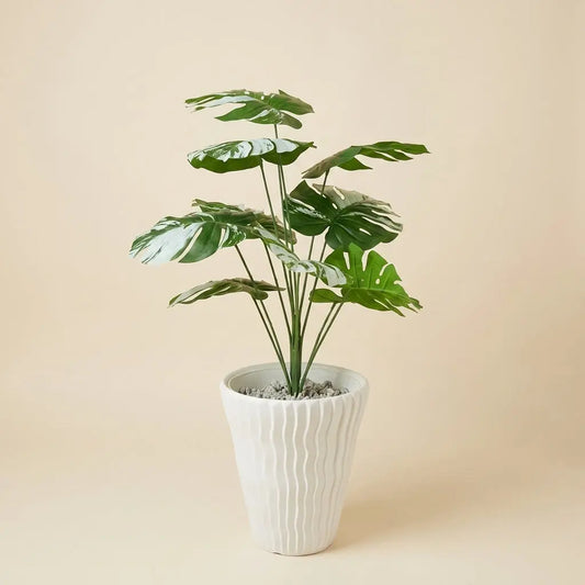 Monstera Variegata Artificielle et Son Pot en Céramique Blanche Ondulée darlworod