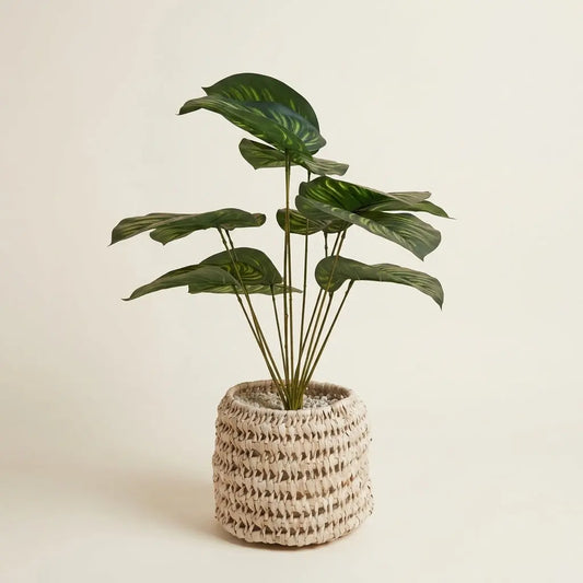 Plante Artificielle en Pot Panier Tressé – Calathéa ou Arbre Tropical Synthétique