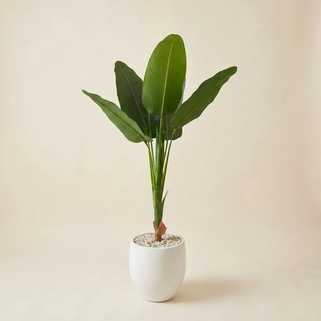 Oiseau du Paradis Artificiel et Son Pot Minimaliste en Céramique Blanche darlworod