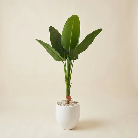 Oiseau du Paradis Artificiel et Son Pot Minimaliste en Céramique Blanche darlworod