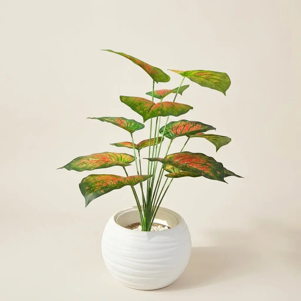 Plante Artificielle en Pot Rond Blanc – Calathéa ou Aglaonema Synthétique Panaché
