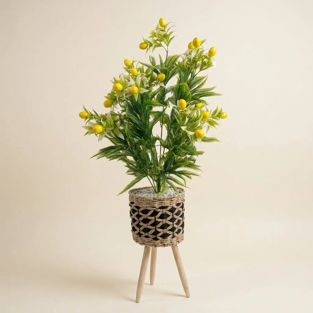 Madréporique / Citronnier Artificiel en Pot Tressé Bicolore sur Trépied en Bois darlworod