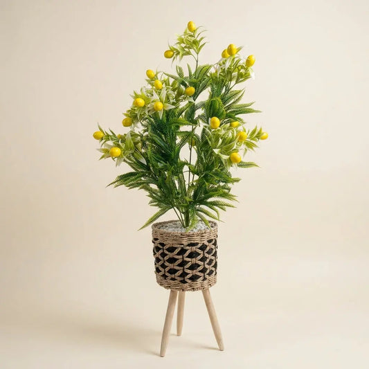 Madréporique / Citronnier Artificiel en Pot Tressé Bicolore sur Trépied en Bois darlworod
