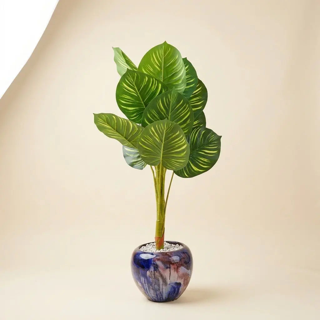 Calathea Artificiel en Pot Émaillé – Plante d’Intérieur Synthétique Haut de Gamme darlworod